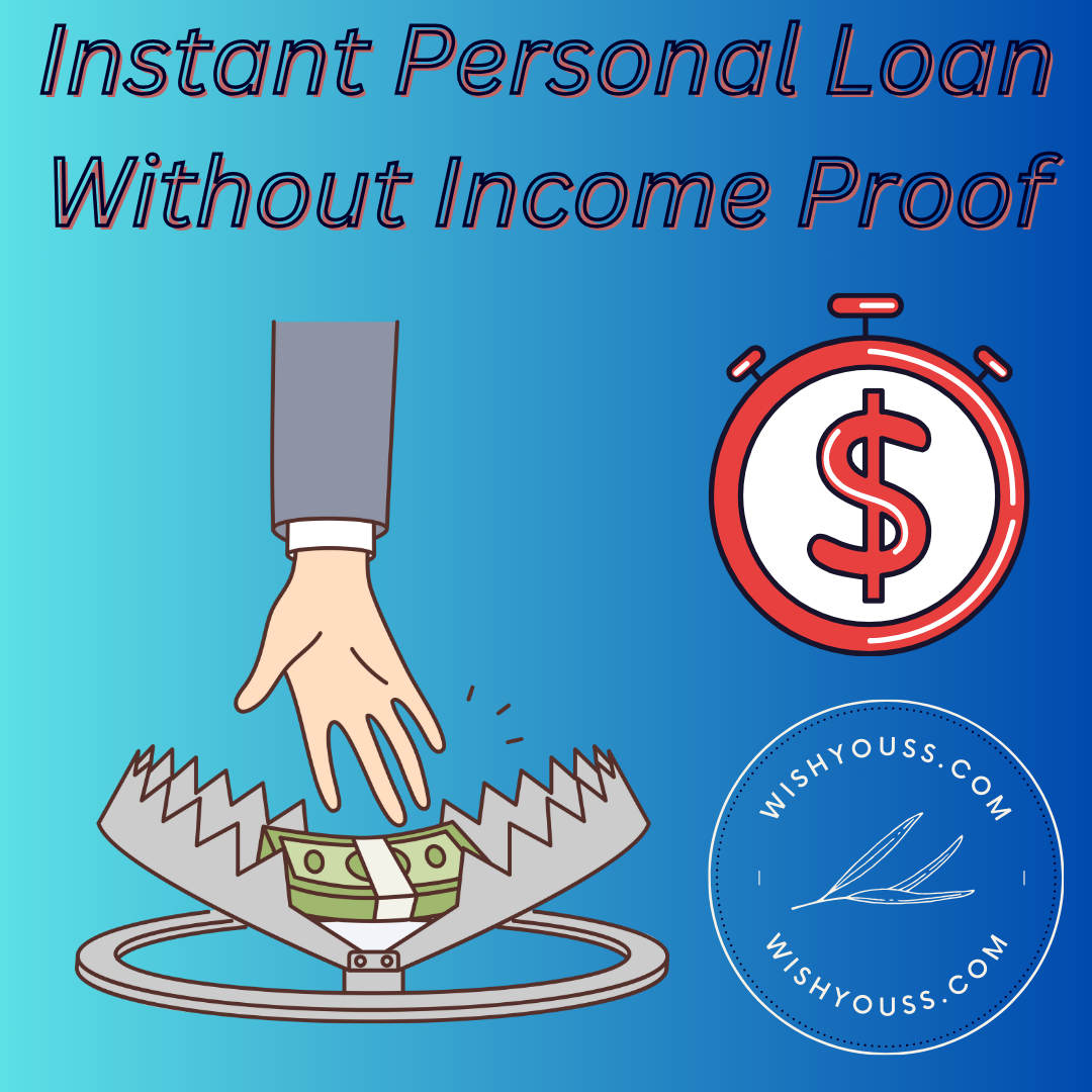 instant personal loan without income